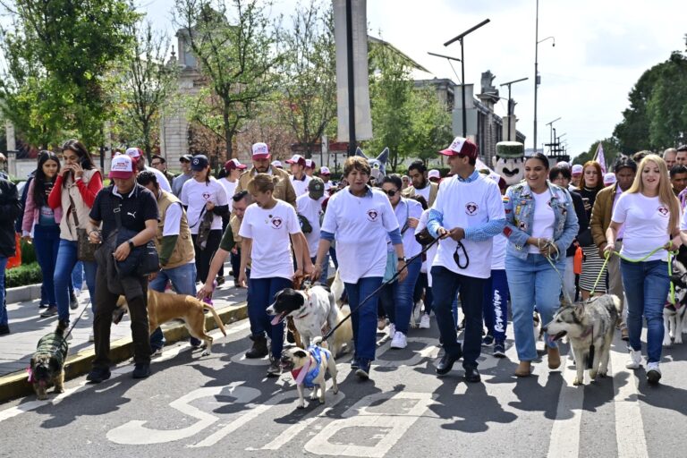 Gobernadora Delfina Gómez Álvarez promueve el bienestar animal con caminata y caravanas de atención a mascotas y animales en situación de calle