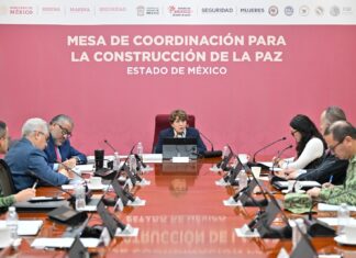 La estrategia de seguridad de la Gobernadora Delfina Gómez Álvarez mantiene baja del 12% en el delito de homicidio doloso durante 2024