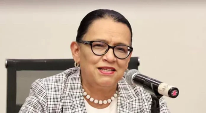 Ante fracaso de Marea Rosa en 2024, ahora va por neo PRD