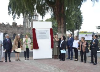Conmemora San Mateo Atenco 170 años del árbol de la unidad