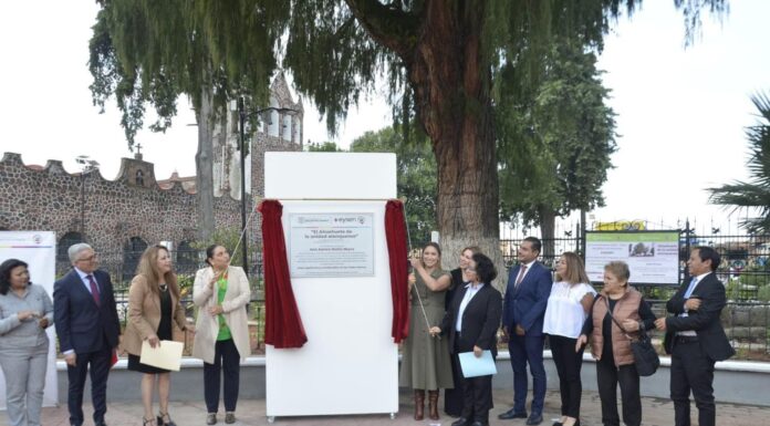 Conmemora San Mateo Atenco 170 años del árbol de la unidad