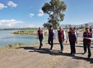 Llaman a mexiquenses unirse a jornada de limpieza en los 125 municipios