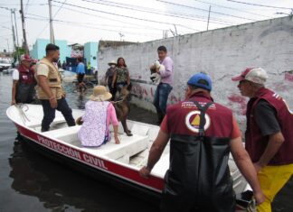 Gobernadora Delfina Gómez Álvarez envía brigadas de bienestar animal a Chalco y habilita tres albergues para los seres sintientes