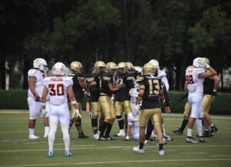 Potros Salvajes con trote ganador