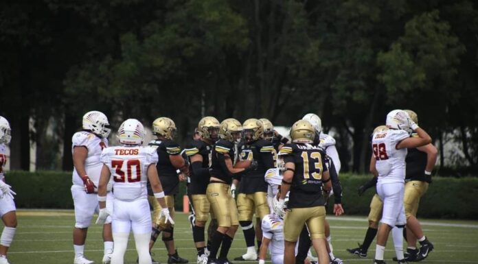 Potros Salvajes con trote ganador