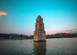 Asegura Gobernadora Delfina Gómez Álvarez un entorno saludable con reformas constitucionales a favor del medio ambiente