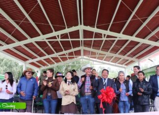 Cobijan y protegen a jiquilpenses con nuevas techumbres