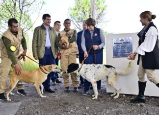 Refrenda Gobernadora Delfina Gómez Álvarez su compromiso con los seres sintientes