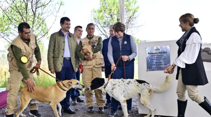 Refrenda Gobernadora Delfina Gómez Álvarez su compromiso con los seres sintientes