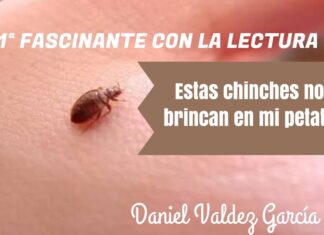 Esas chinches no brincan en mi petate