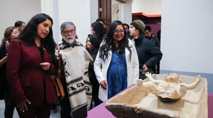 Nahum Zenil y por qué sí tienes que ir al museo de Bellas Artes en Toluca
