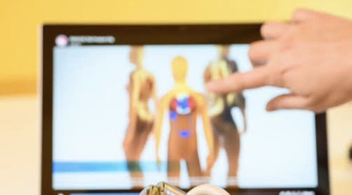 Segundo artículo: Corazón de titanio