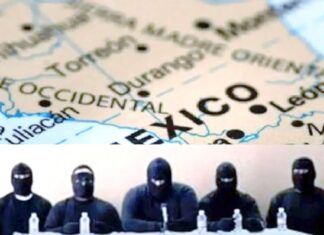 Día 10. La otra causa: crimen quiere capturar al Estado