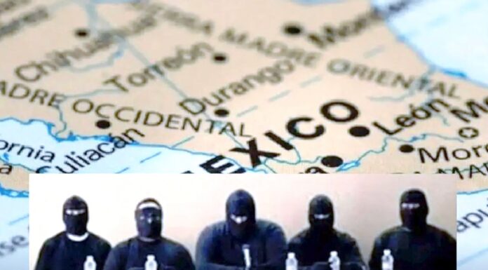 Día 10. La otra causa: crimen quiere capturar al Estado