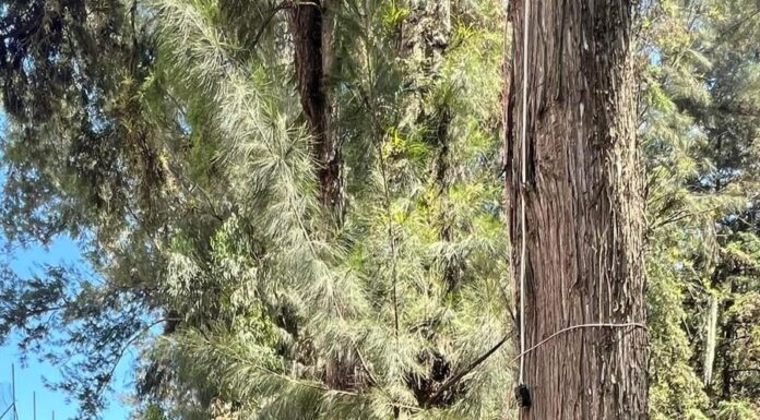Recorre Tenancingo la alcaldesa electa Nancy Nápoles a fin de atender solicitudes de la población