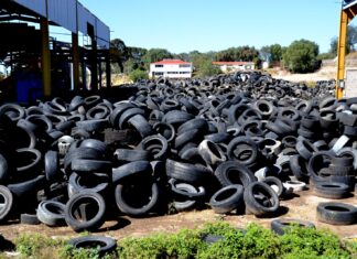 ALISTA GOBERNADORA DELFINA GÓMEZ ÁLVAREZ SEGUNDA JORNADA “LIMPIEMOS NUESTRO EDOMÉX” PARA DEJAR UN MEDIO AMBIENTE LIBRE DE LLANTAS