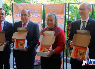 “Plaguicidas responsables de la disminución de la Mariposa Monarca”: Secretaría del Campo