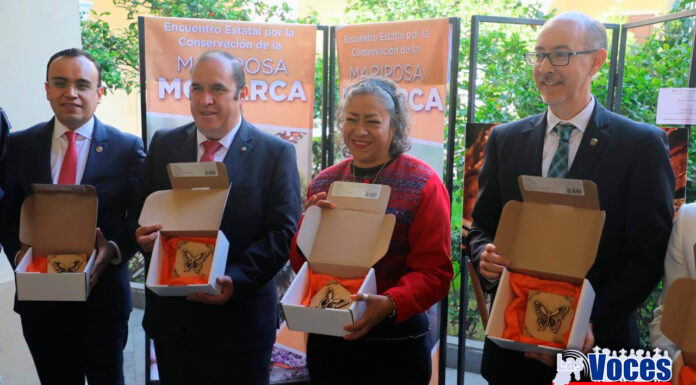 “Plaguicidas responsables de la disminución de la Mariposa Monarca”: Secretaría del Campo