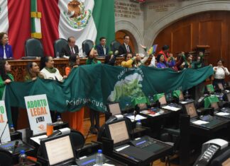 El Estado de México despenaliza el aborto hasta las 12 semanas: avances y retos legislativos