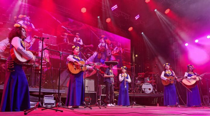 Invita el Festival de las Almas 2024 a su Tradicional Paseo Catrín Valle este 01 de noviembre