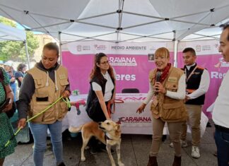 Realiza GEM exitosa Caravana por el Bienestar Animal en Chalco