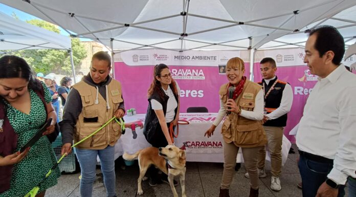 Realiza GEM exitosa Caravana por el Bienestar Animal en Chalco