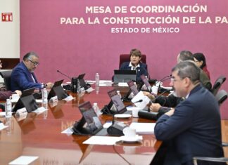 Acción perrona: Rescata la Gobernadora Delfina Gómez Álvarez a 44 lomitos y michis que sufrían maltrato