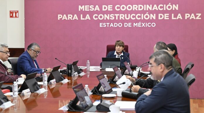 Acción perrona: Rescata la Gobernadora Delfina Gómez Álvarez a 44 lomitos y michis que sufrían maltrato