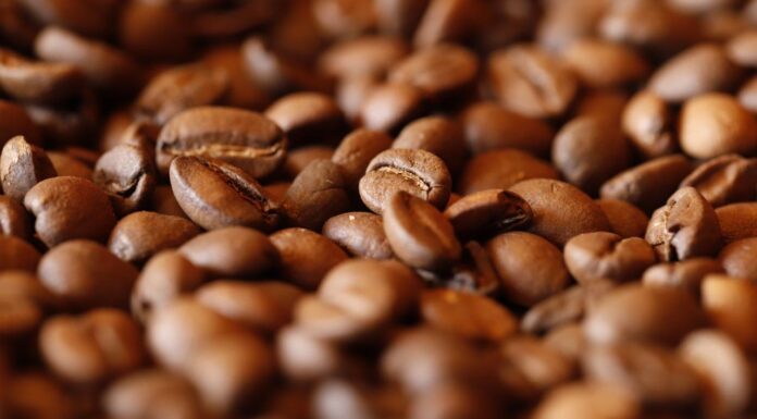 EXPORTAN CAFÉ DE TEMASCALTEPEC A JAPÓN; PRODUCTORES AFIRMAN QUE ESTE GRANO VIVE SU MEJOR MOMENTO