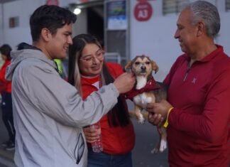 Partido perrón en el estado Nemesio Diez; lomitos al cuidado de la Cepanaf sudan la camiseta y consiguen adopción