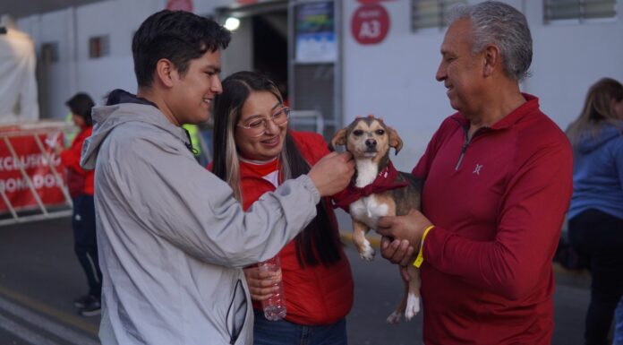 Partido perrón en el estado Nemesio Diez; lomitos al cuidado de la Cepanaf sudan la camiseta y consiguen adopción