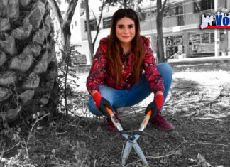 DEJA DIPUTADA ESCRITORIO PARA HACER FAENA VECINAL