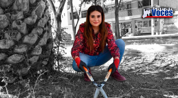 DEJA DIPUTADA ESCRITORIO PARA HACER FAENA VECINAL