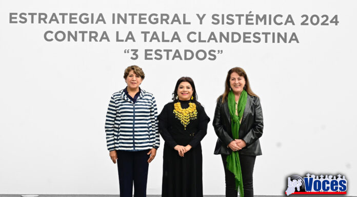 Lidera Gobernadora Delfina Gómez estrategia contra la tala ilegal de árboles en alianza con Morelos y CDMX