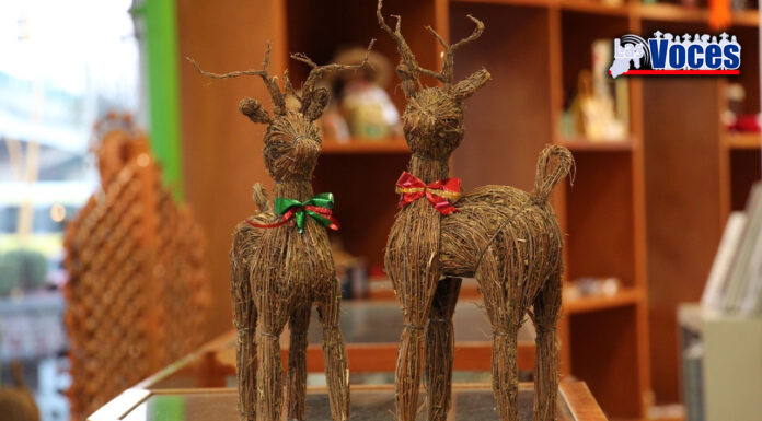 ¿TODAVÍA NO SABES QUE REGALAR EN NAVIDAD? LÁNZATE AL EDOMÉX POR ALGUNAS ARTESANÍAS DE FIBRAS VEGETALES
