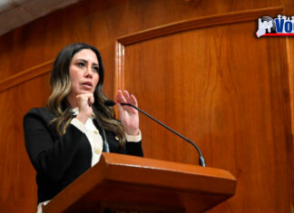 ALERTA PARTIDO VERDE AGRESIONES A ACTIVISTAS Y PIDE SEAN APOYADOS