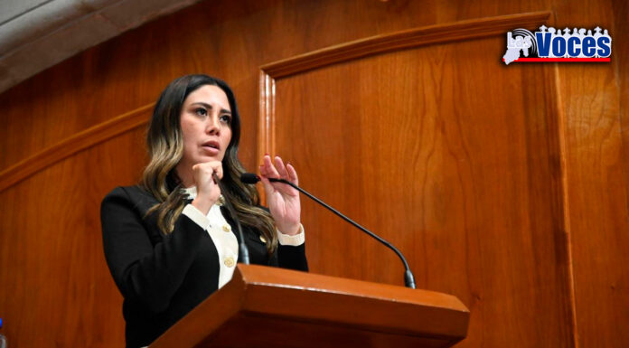 ALERTA PARTIDO VERDE AGRESIONES A ACTIVISTAS Y PIDE SEAN APOYADOS