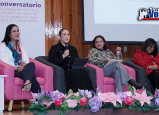 URGE AGILIZAR MEDIDAS DE PROTECCIÓN HACIA LAS MUJERES: ANA MUÑIZ