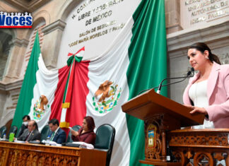 BUSCA BANCADA MORENISTA TENER UNA ENTIDAD MAS NATURAL Y PURA