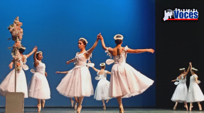 CUMPLE EL FESTIVAL CULTURAL TRANSFORMARTE UN AÑO DE ACERCAR LA CULTURA Y EL ARTE A LAS Y LOS MEXIQUENSES