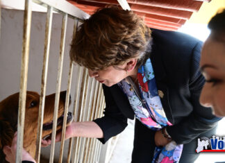 VISITA GOBERNADORA DELFINA GÓMEZ ÁLVAREZ LA CLÍNICA VETERINARIA DE AMECAMECA; MEXIQUENSES DE LA ZONA ORIENTE SE SUMAN A LA TENENCIA RESPONSABLE DE MASCOTAS