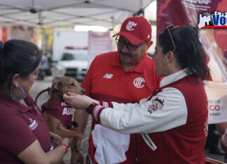LOS SERES SINTIENTES NO SON JUGUETES PARA REGALAR EN NAVIDAD; RECOMIENDA CEPANAF LA ADOPCIÓN RESPONSABLE DE ANIMALES DE COMPAÑÍA