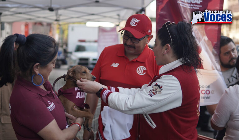 LOS SERES SINTIENTES NO SON JUGUETES PARA REGALAR EN NAVIDAD; RECOMIENDA CEPANAF LA ADOPCIÓN RESPONSABLE DE ANIMALES DE COMPAÑÍA