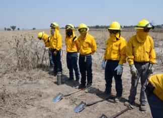 Lidera Probosque proyectos estratégicos en zonas limítrofes del Estado de México y CDMX