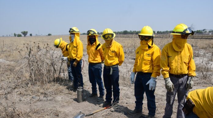 Lidera Probosque proyectos estratégicos en zonas limítrofes del Estado de México y CDMX