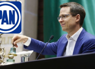 ESTRENA ACCIÓN NACIONAL COORDINADOR EN CAMARA ALTA