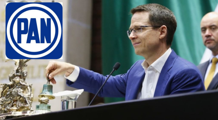 ESTRENA ACCIÓN NACIONAL COORDINADOR EN CAMARA ALTA