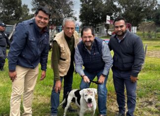 LLEGA LOMITO ADOPTADO A HOGAR CON ESENCIA POLÍTICA