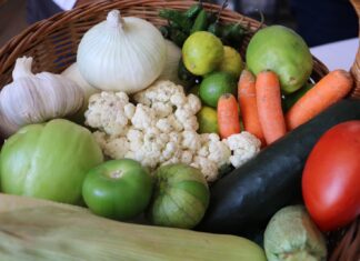 EMITE ISEM RECOMENDACIONES PARA REDUCIR TRASTORNOS ALIMENTICIOS Y DE VIDA SEDENTARIA