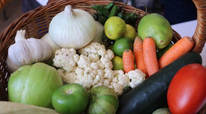 EMITE ISEM RECOMENDACIONES PARA REDUCIR TRASTORNOS ALIMENTICIOS Y DE VIDA SEDENTARIA